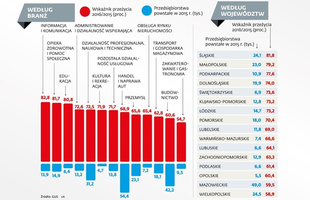 W jakich branżach i gdzie najwięcej udanego biznesu