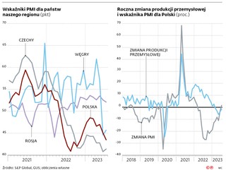 Wskaźniki PMI dla państw naszego regionu