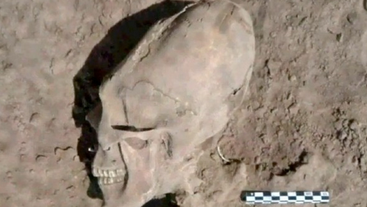 Archeolodzy w Meksyku odkryli właśnie coś, co wygląda jak stożkowata czaszka kosmity. Pochodzenie czaszki datuje się między 945 a 1308 rokiem naszej ery. Do nietypowego znaleziska doszło przypadkowo, podczas kopania systemu irygacyjnego w północno-zachodnim stanie Sonora w Meksyku.