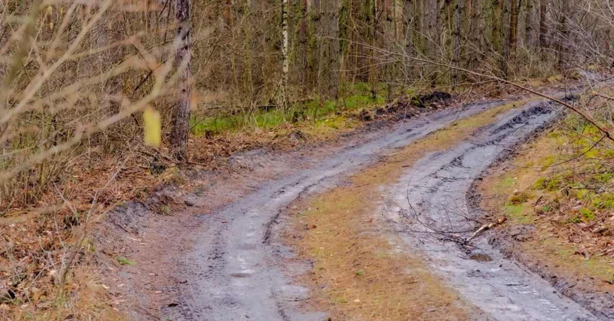 Czy Droga św. Jakuba oferuje to, czego szukają pielgrzymi?