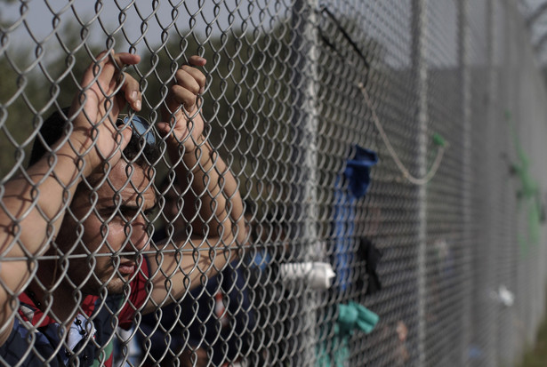 Polacy pomogą Węgrom pilnować granic. Wysyłamy sprzęt i funkcjonariuszy