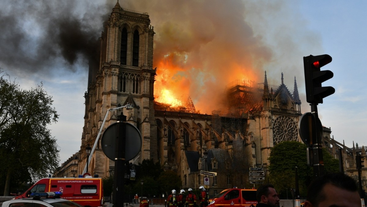 Małgorzata Omilanowska o Notre-Dame: nawet bombardowanie nie spowodowałoby zniknięcia Notre-Dame