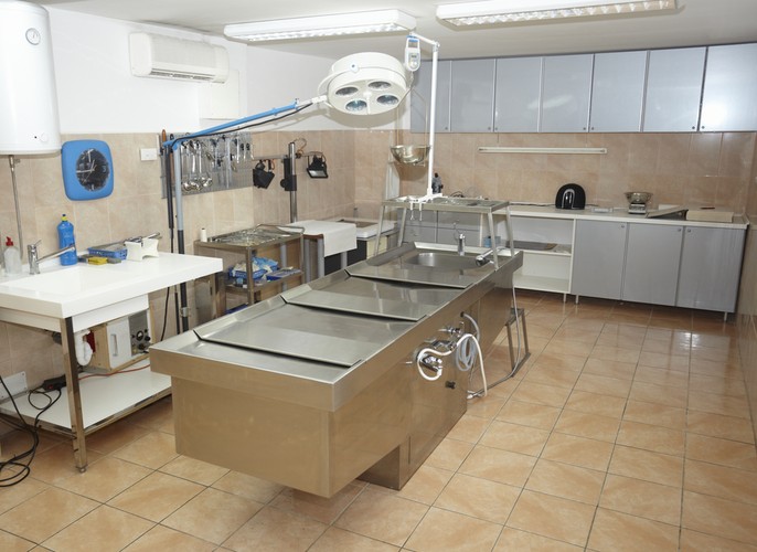 Któż nie marzył o zobaczeniu rozkładających się zwłok? Zajęcia z medycyny sądowej dla wielu osób okazały się ciekawym doświadczeniem, a dla innych – przestrogą przed wybraniem danej ścieżki zawodowej.