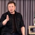 Musk mocno wierzy w podziemne tunele, ale nie wszystkim ten pomysł się podoba