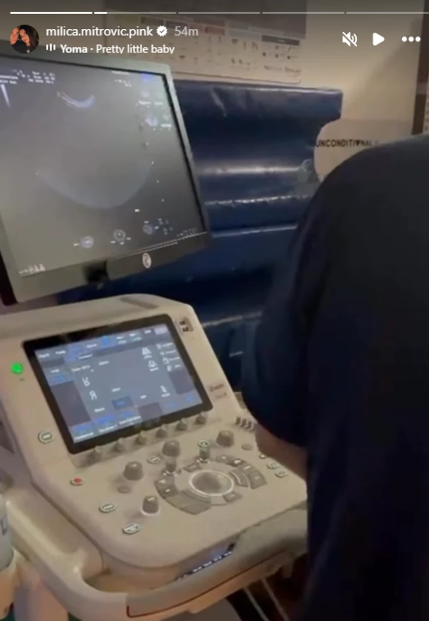 Milica Mitrović snimala psa Lusi koja čeka štence