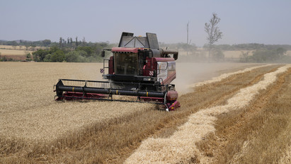 Padlóra küldheti a gabonapiacot Putyin döntése: már hétfőn komoly áremelkedésre kell számítani