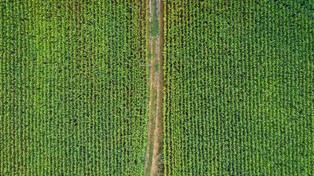 Dzieciom też należy się odszkodowanie za wypadek na roli