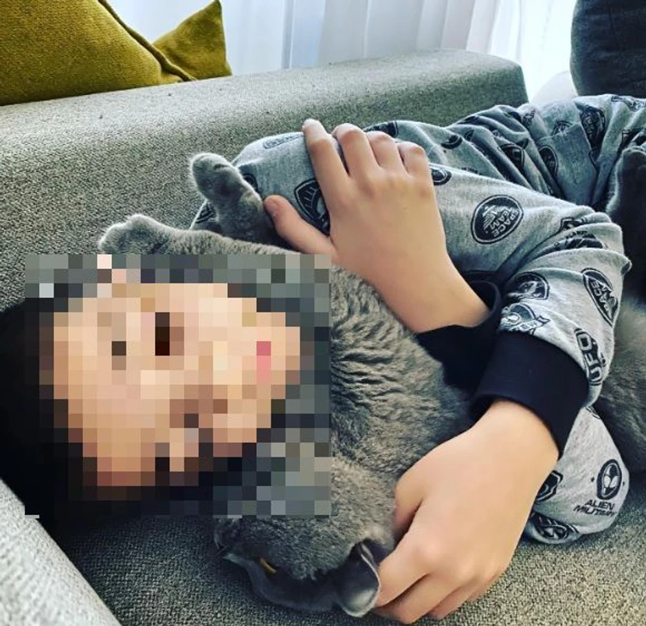 Stan Milene Popović