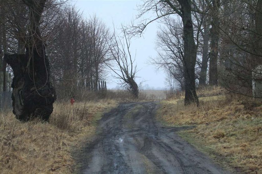 Urwał mi się film, bo myślałem, ze w totka wygrałem!