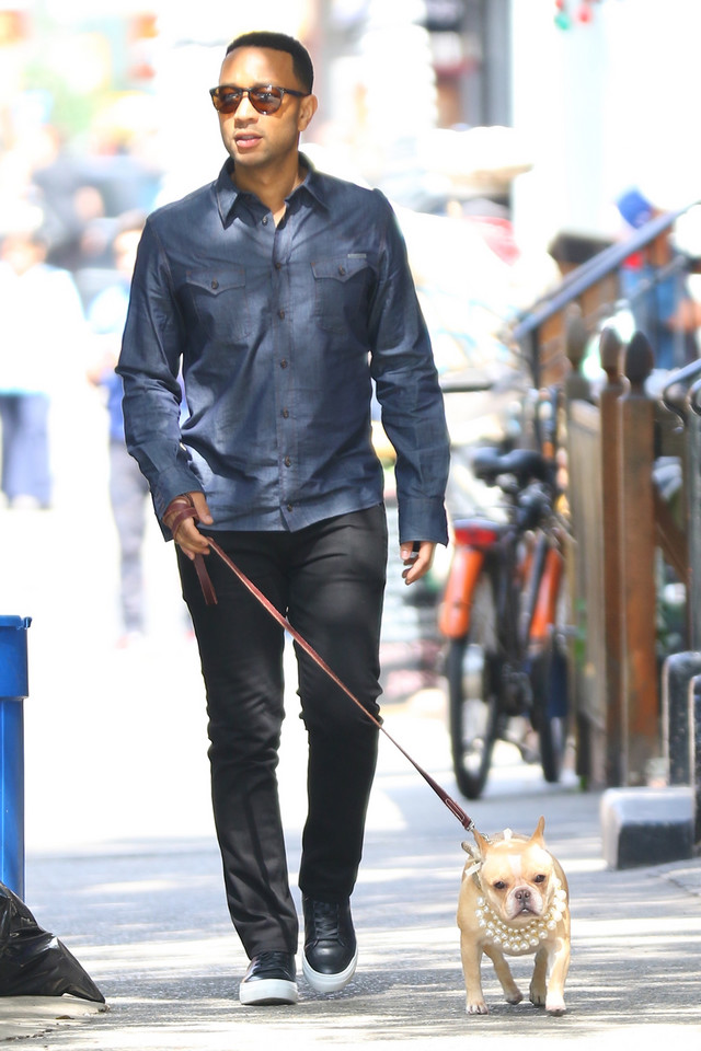 John Legend założył psu… perłowy naszyjnik