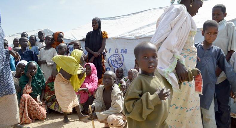 IDPs' main concerns relate to food, health and shelter [IOM]