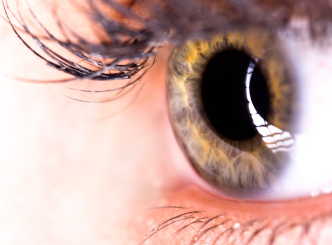 Kto lepiej widzi kolory?