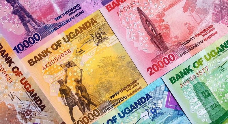 Uganda money in notes