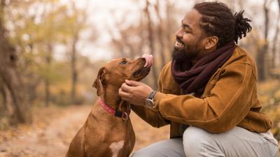 Islam advises to focus on other pets [iStock]