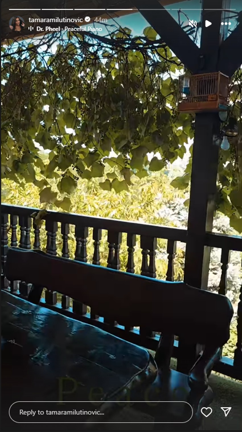 Porodično imanje Tamare Milutinović