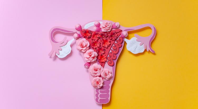 Minden, amit az endometriózisról tudni kell Fotó: Getty Images