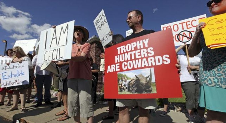 After Cecil outcry, major U.S. airlines end trophy hunter shipments