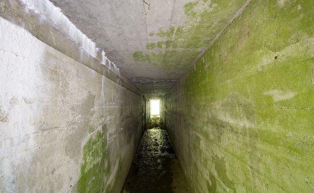 Bursztynowa Komnata ukryta w mazurskich bunkrach? "Odkryliśmy nieznane pomieszczenie"