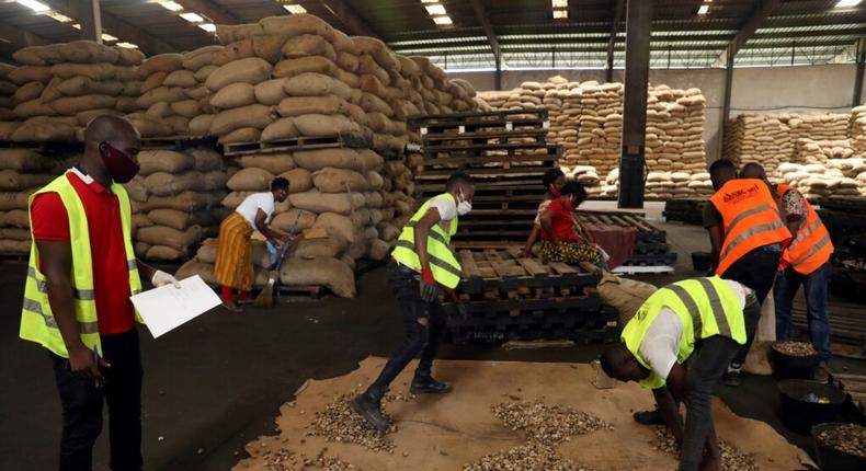 Julius Berger has diversified into cashew processing (Image Source: Thomson Reuters)