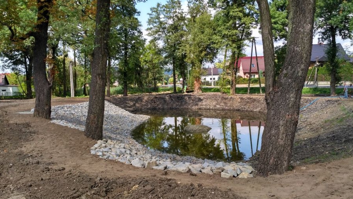 Stawy Skotnickie od wielu lat były w opłakanym stanie – zarośnięte, zamulone zanieczyszczone ściekami oraz śmieciami, bo na ich brzegach regularnie pojawiały się dzikie wysypiska. W kwietniu tego roku rozpoczęła się ich gruntowna rewitalizacja.