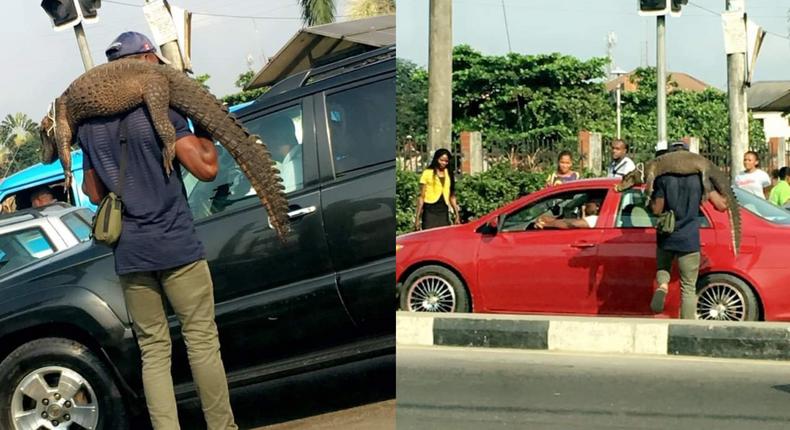 Man causes a stir as he is seen selling live crocodile in traffic