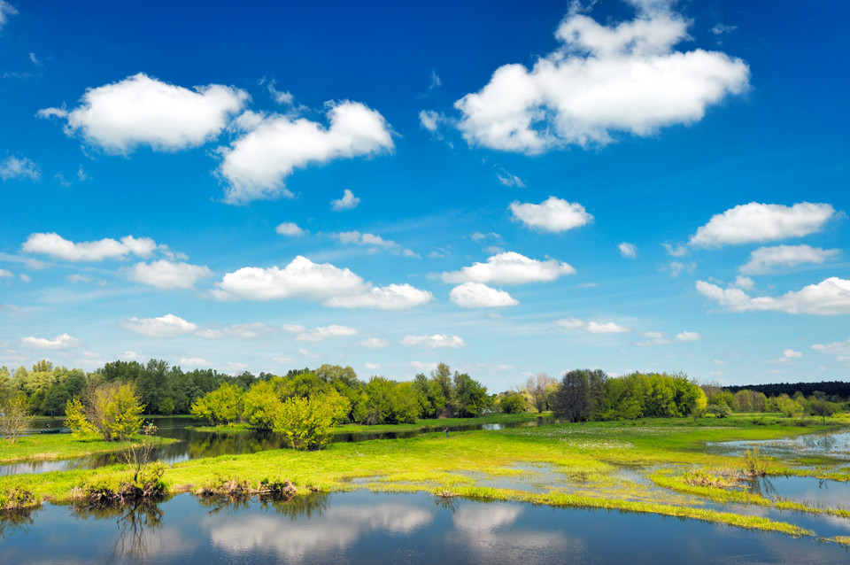 Narwiański Park Narodowy 