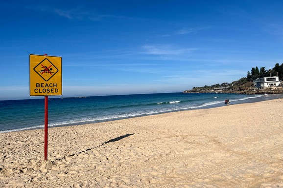 AJKULA NAPALA ŽENU NA POPULARNOJ PLAŽI Svedoci opisali jezivu scenu: "Čuli smo kako vrišti, a onda se upalio alarm"