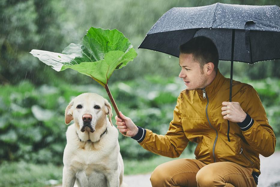 Ne hagyd otthon az esernyőt. Fotó: Getty Images