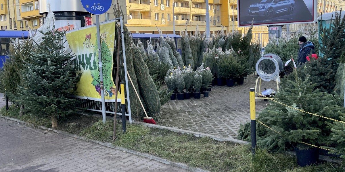 Choinki czekają m.in. przy Jedności Narodowej