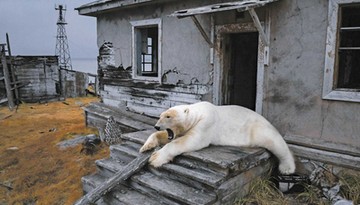 Rosja, czyli perpetuum debile [WYWIAD]