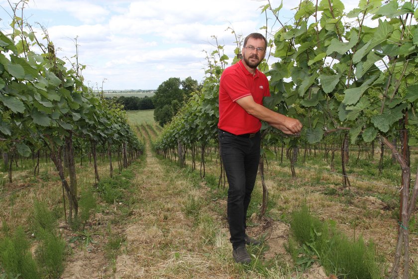 Wino mszalne z Przeworska