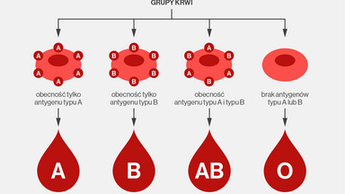 Jak dziedziczymy grupę krwi i czynnik Rh? Sprawdź, jaką grupę krwi może mieć twoje dziecko [INFOGRAFIKA]