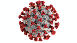 Koronavírus: senki sem halt meg koronavírusban a cseheknél az elmúlt 24 órában