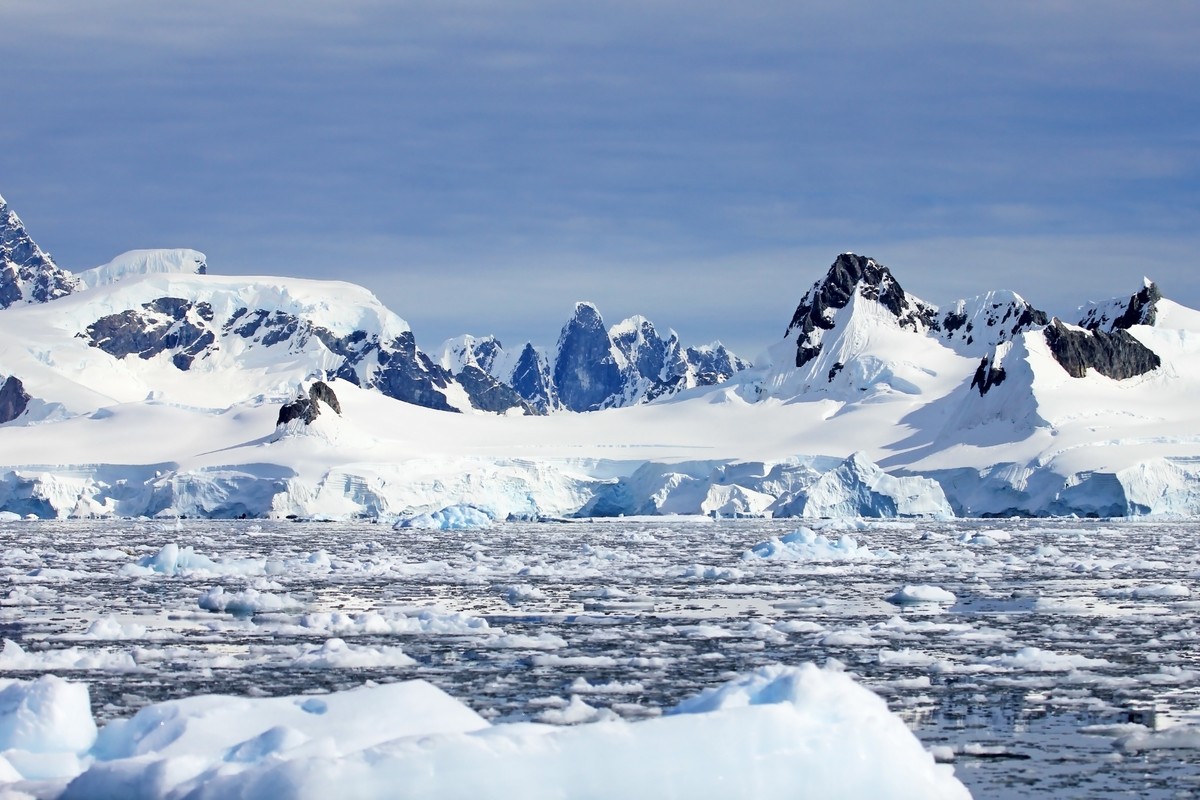 The secret of Antarctica is discovered. The iceberg hid an unusual creature