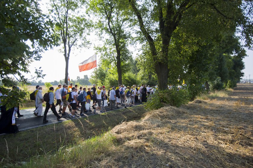 Piesza pielgrzymka na Jasną Górę. Znajdź siebie na zdjęciach