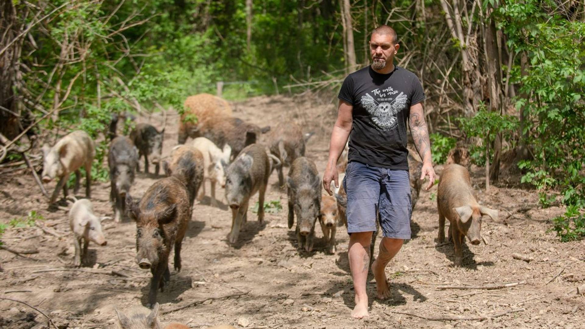 Nikola je bio milioner, a onda je bogatstvo razdelio i otišao da živi u šumi u kući od blata