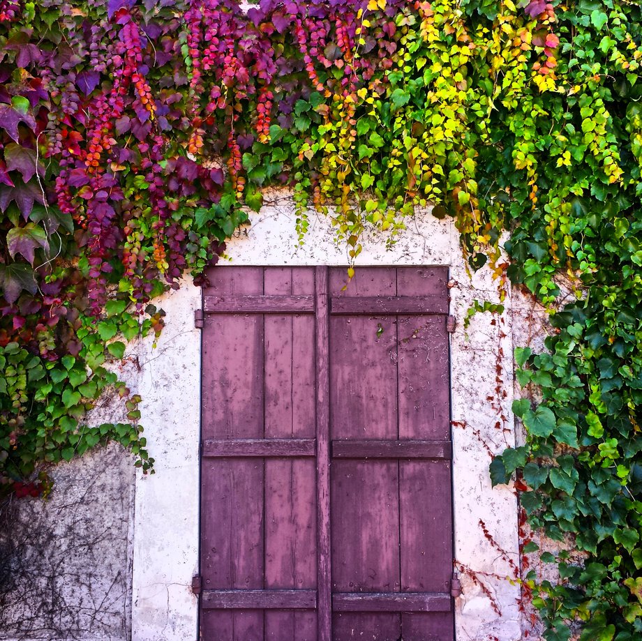 LA CROIX-SAINT-LEUFROY