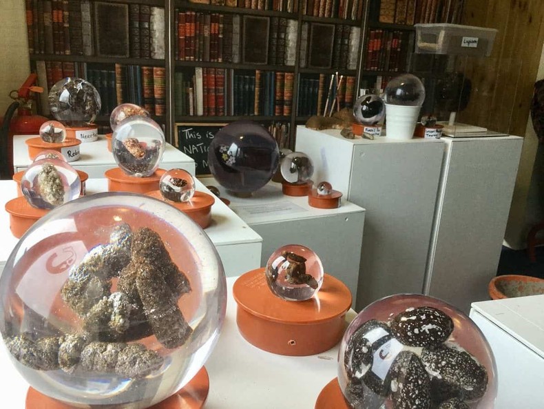 National Poo Museum