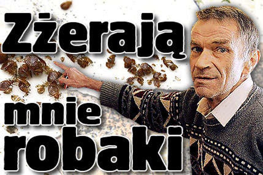 Zżerają mnie robale