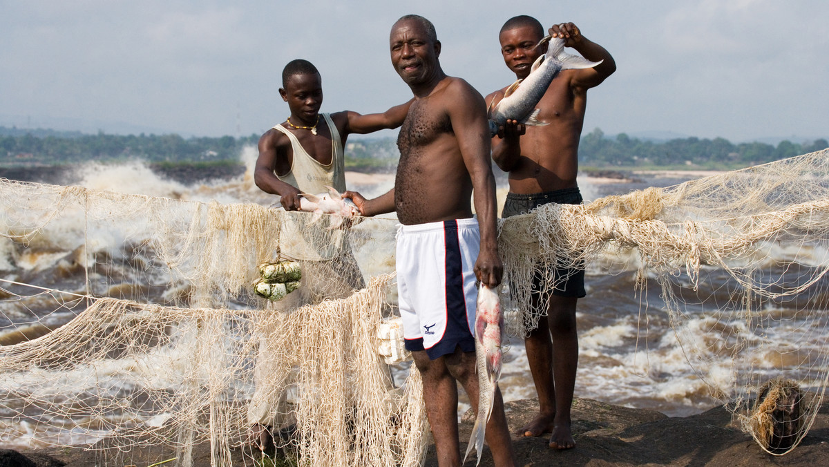 Krajobraz Kongo: rwąca rzeka i bogactwo ryb