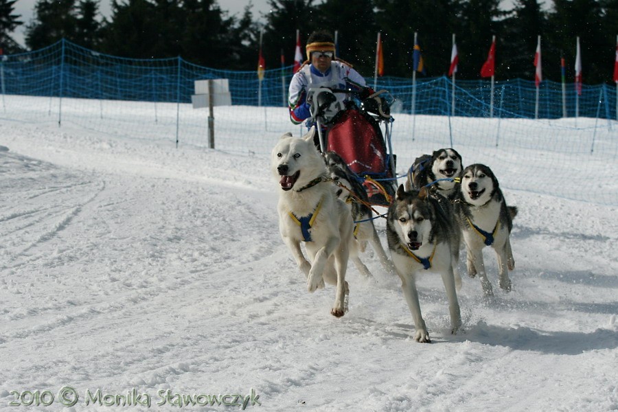 W dniach 26-27 lutego 2010 r. odbyły się Mistrzostw Świata WSA