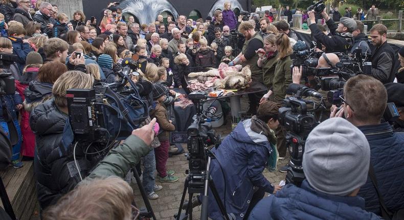 Members of the media film the dissection of a lion at Odense Zoo in Odense, Denmark October 15, 2015.