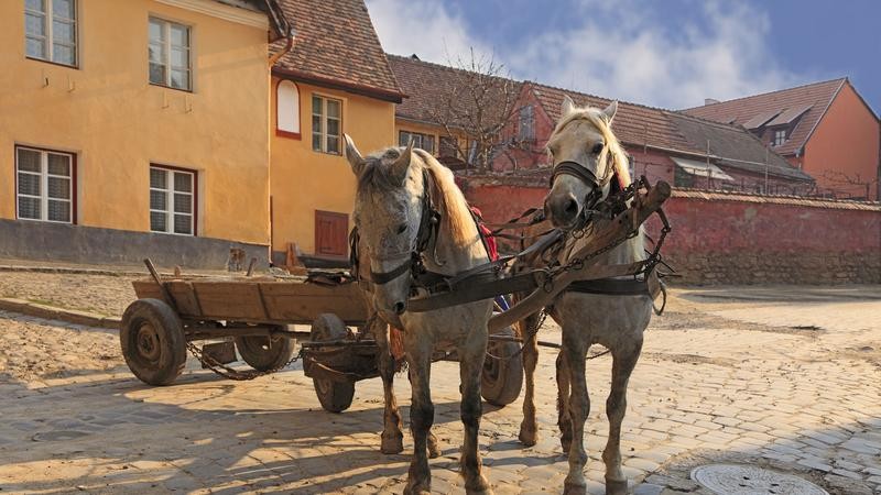 KÃ©ptalÃ¡lat a kÃ¶vetkezÅre: âszeker ferfiâ