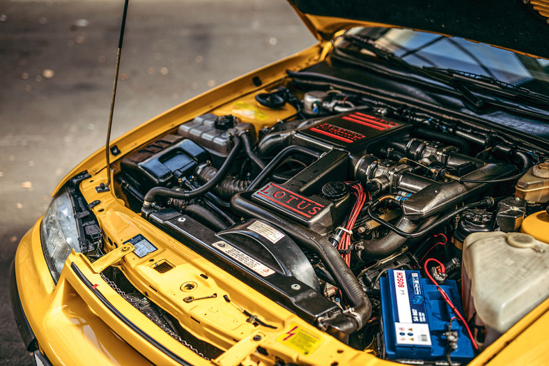 Lotus Calibra