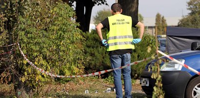 Makabryczne znalezisko w ogródku. Zwłoki noworodka w tekturowym pudełku