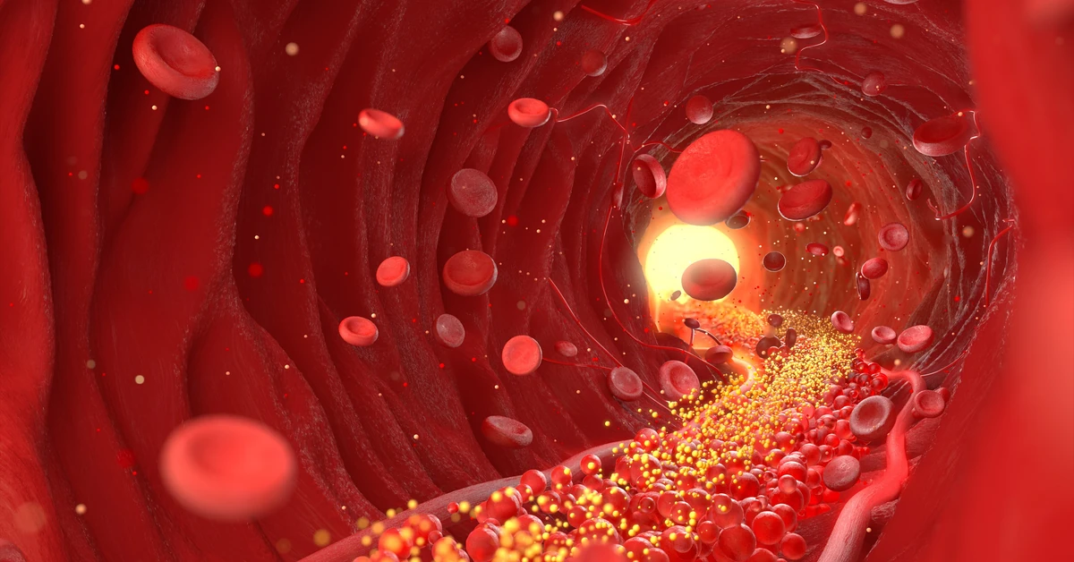 Ukryta cząsteczka krwi może być kluczem do długowieczności