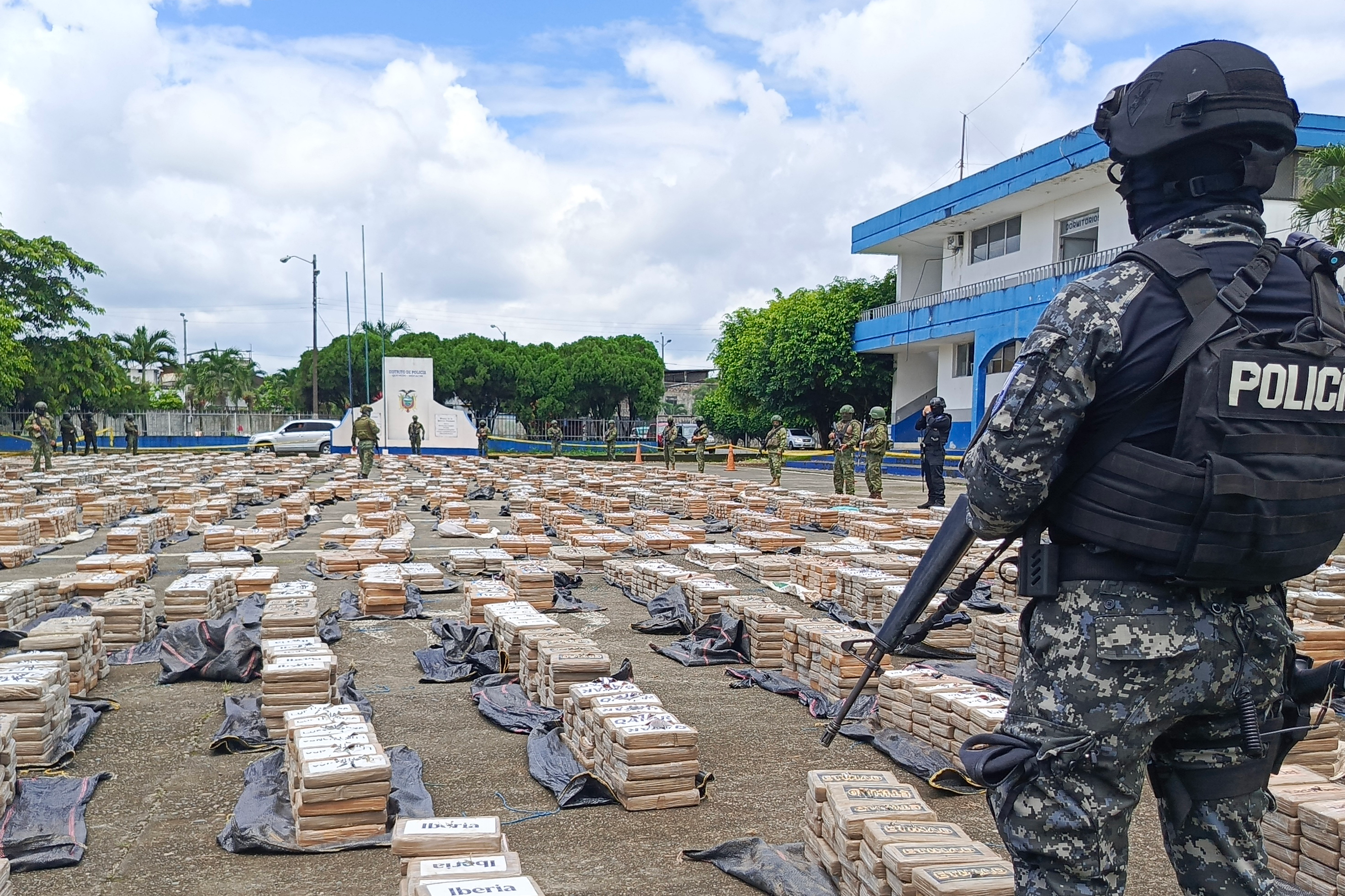 Ecuador: arrestato sudafricano con 305 kg di droga