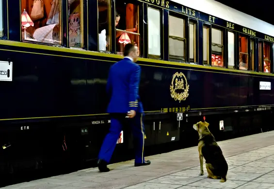 Legendarny pociąg rdzewiał pod Terespolem. Francuzi szykują mu wielki powrót