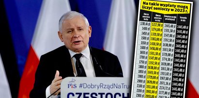 Prezes PiS mówi o "obfitej waloryzacji". Kto zyska najwięcej? Seniorzy z Wiejskiej! [TABELA]