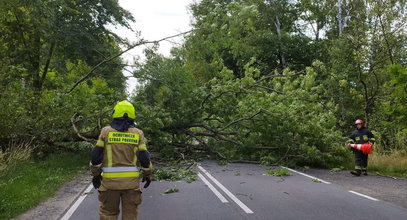 Zalane ulice, pozrywane dachy, połamane drzewa. Potężny żywioł uderzył w Polskę